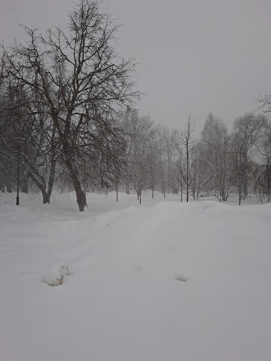 Белое безмолвие