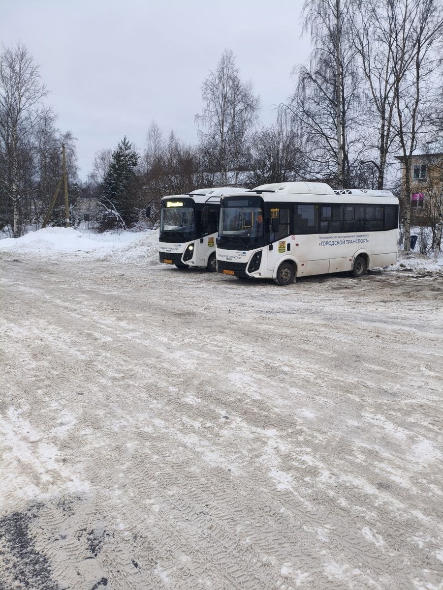   Фото: соцсеть Надежды Дрейзис