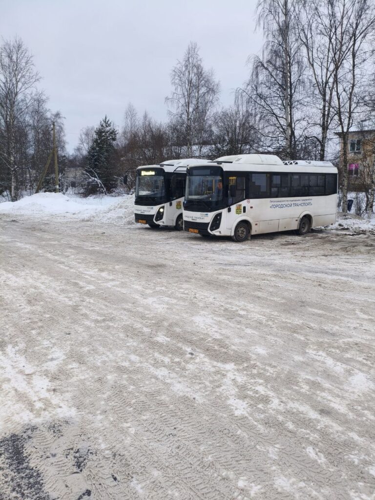    Фото: соцсеть Надежды Дрейзис