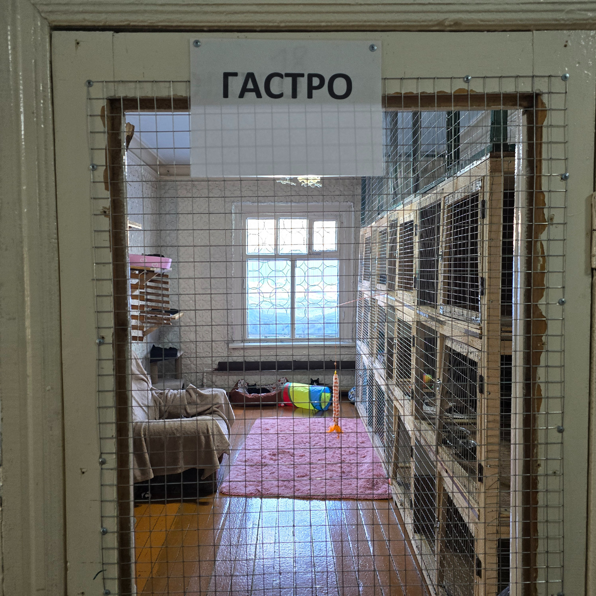 безысходность за решеткой гастро отделения