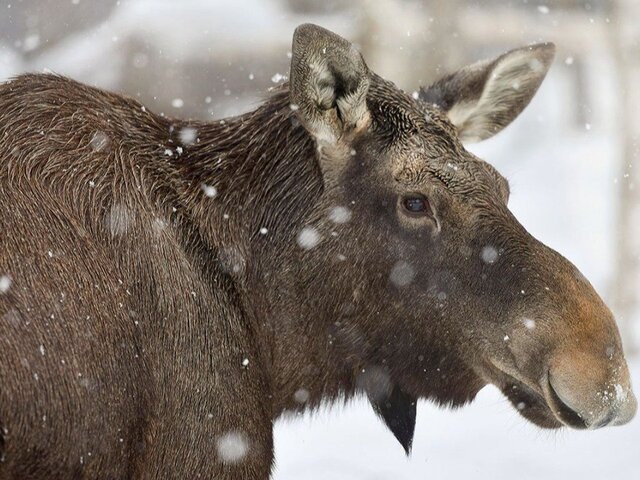    Фото: портал мэра и правительства Москвы