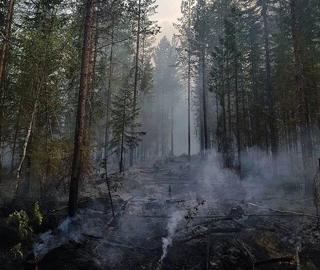 Пуля которая меня не нашла.