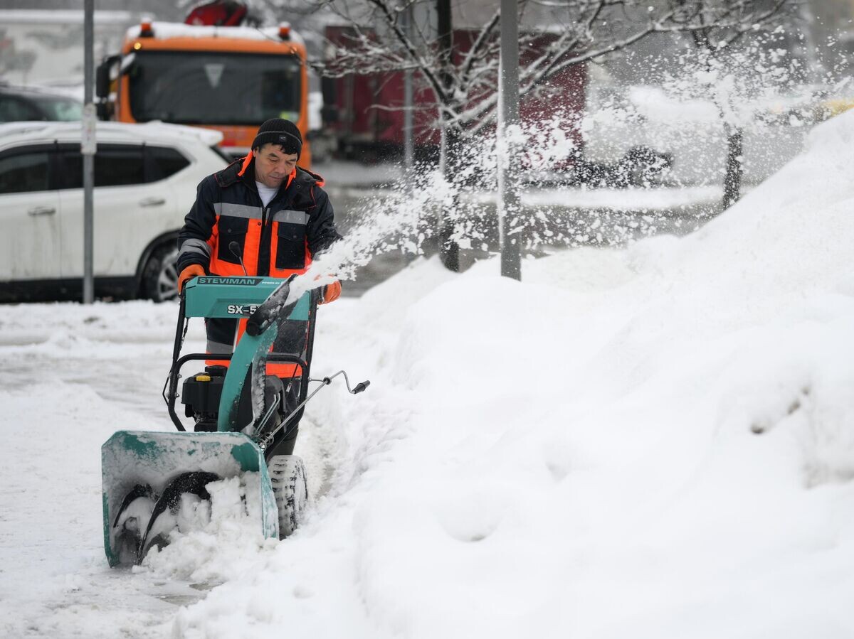    Сотрудник коммунальной службы убирает снег на территории парка Победы в Москве | © РИА Новости / Григорий Сысоев
