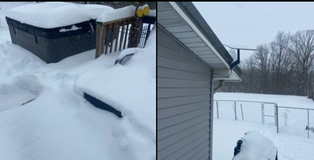 Фото @PtonBBallDad  📷
