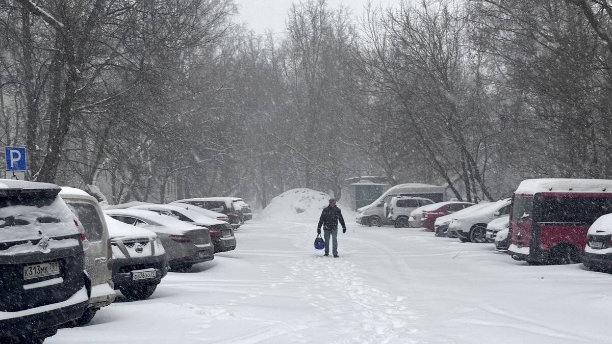   Фото: Вечерняя Москва