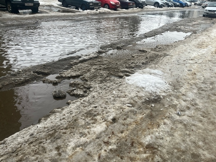     Фото: "МК в Орле"/Марианна Альянова