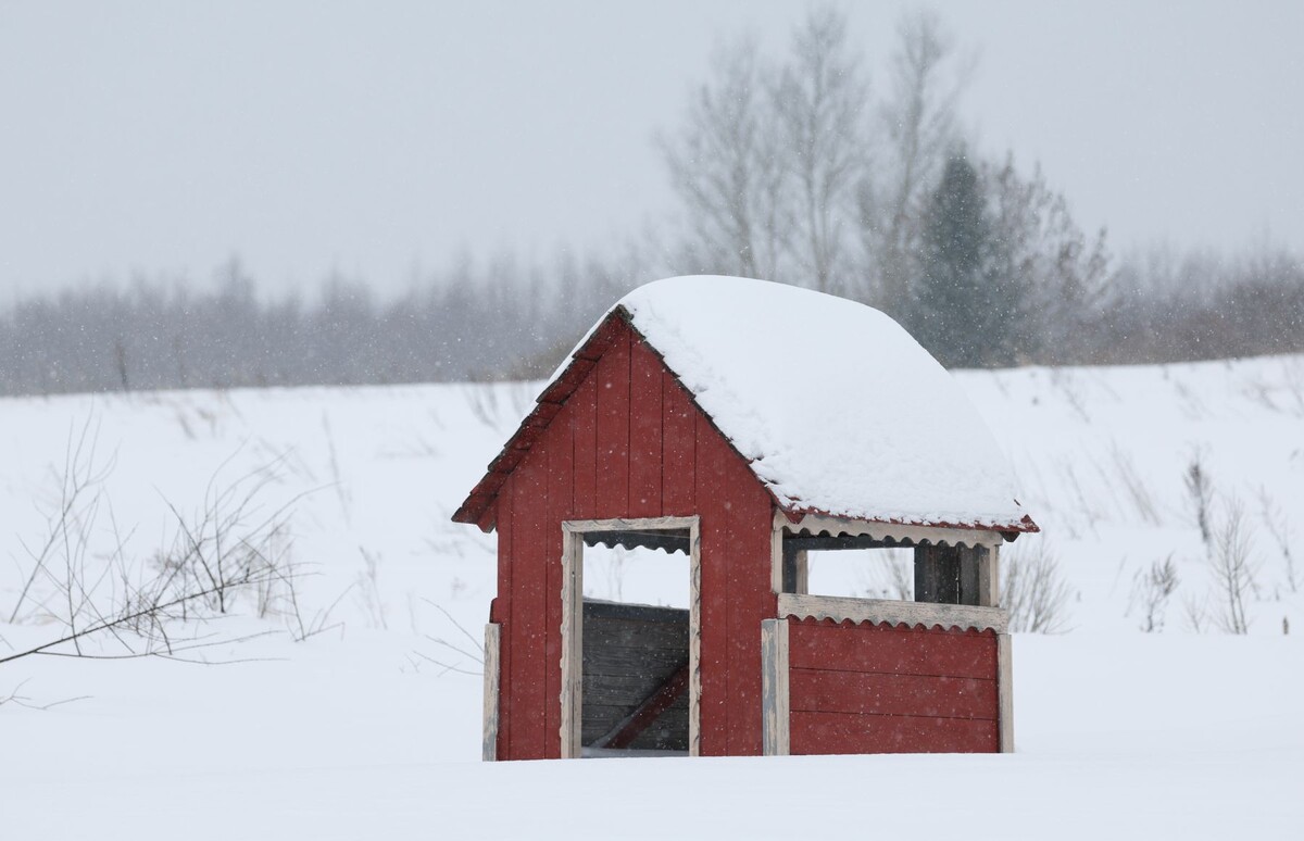  © Павел Орловский, Times.by