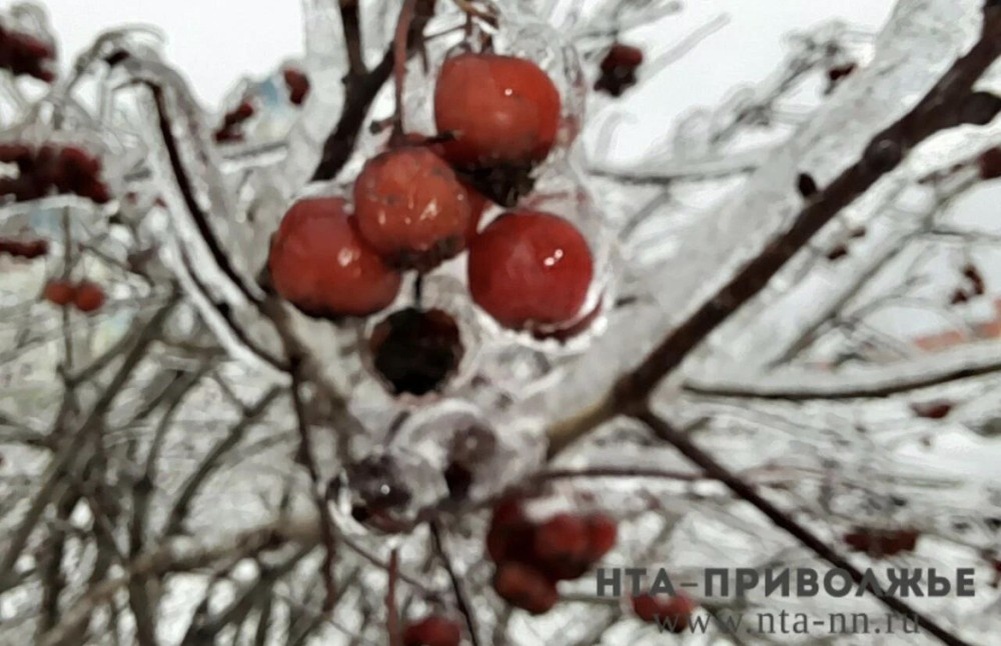    Народные приметы: 19 февраля