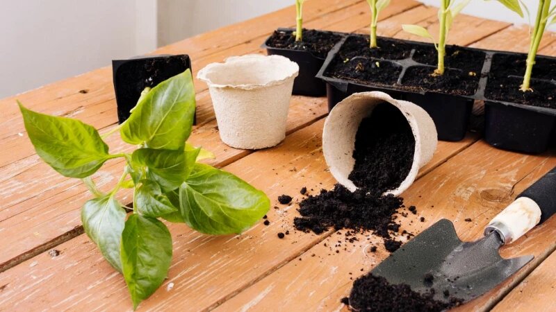     Грунт. freepik.com/freepik