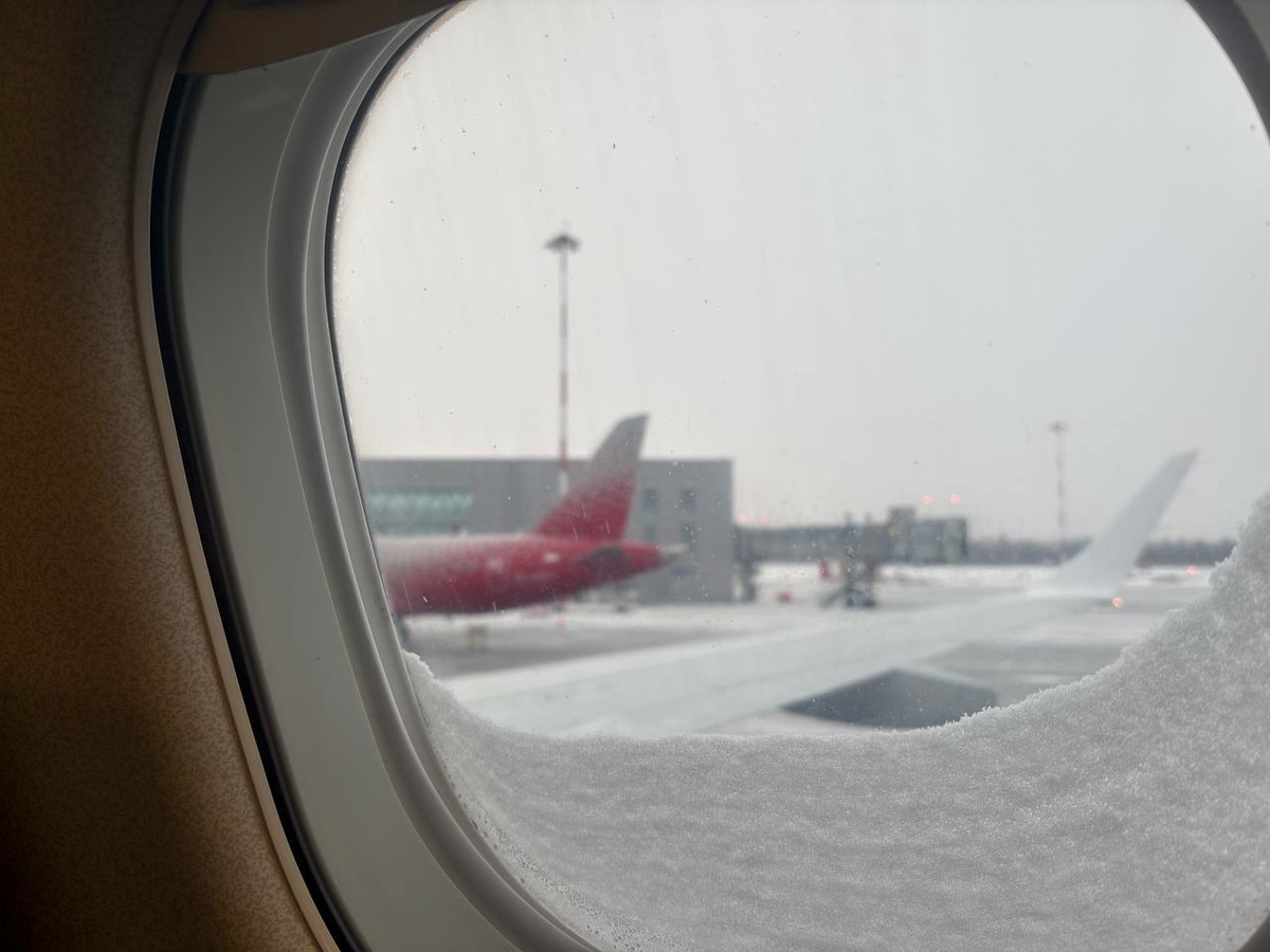 Фото: Neva.Today