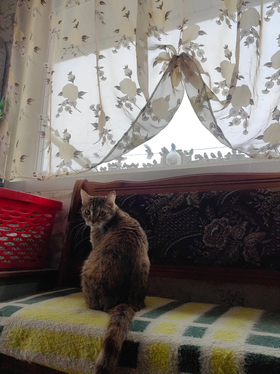 Мама! А наших посчитали?