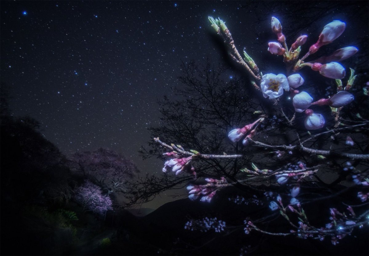 Автор снимка: Масахиро Миясака / © ameblo.jp