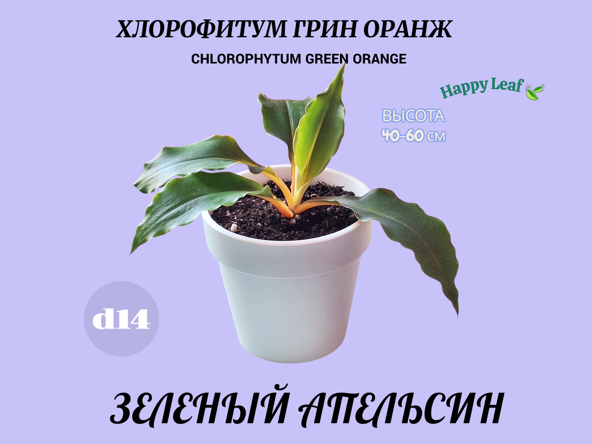 Обложка автора. 