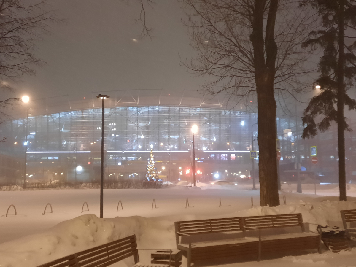 Аэропорт Внуково, 4 утра 19 февраля 2026 года. Метель только начинается