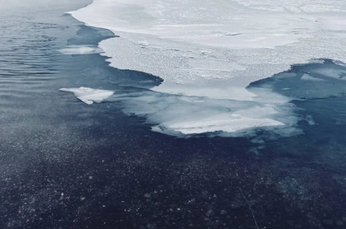    Рыбаки на льдине застряли на Финском заливе в Ленобласти