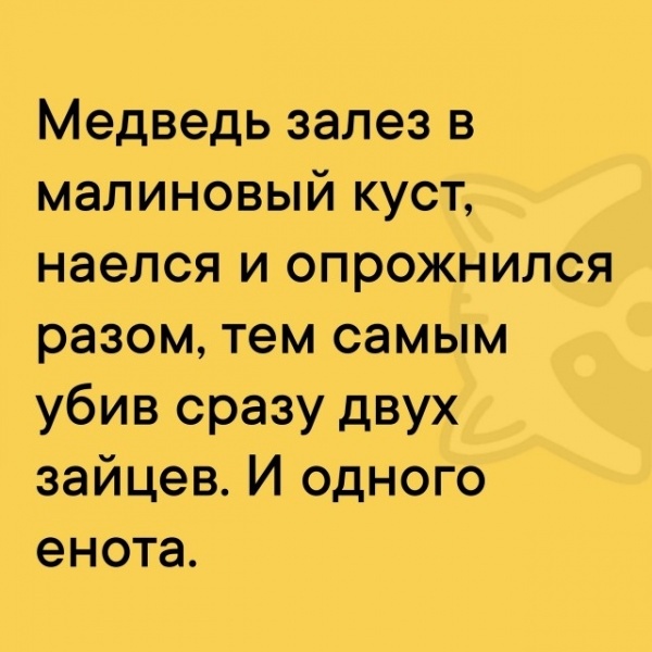Смех из социальных сетей! Забавные шутки, забавные случаи и веселые рассказы. Фото взято из общедоступных ресурсов соцсетей