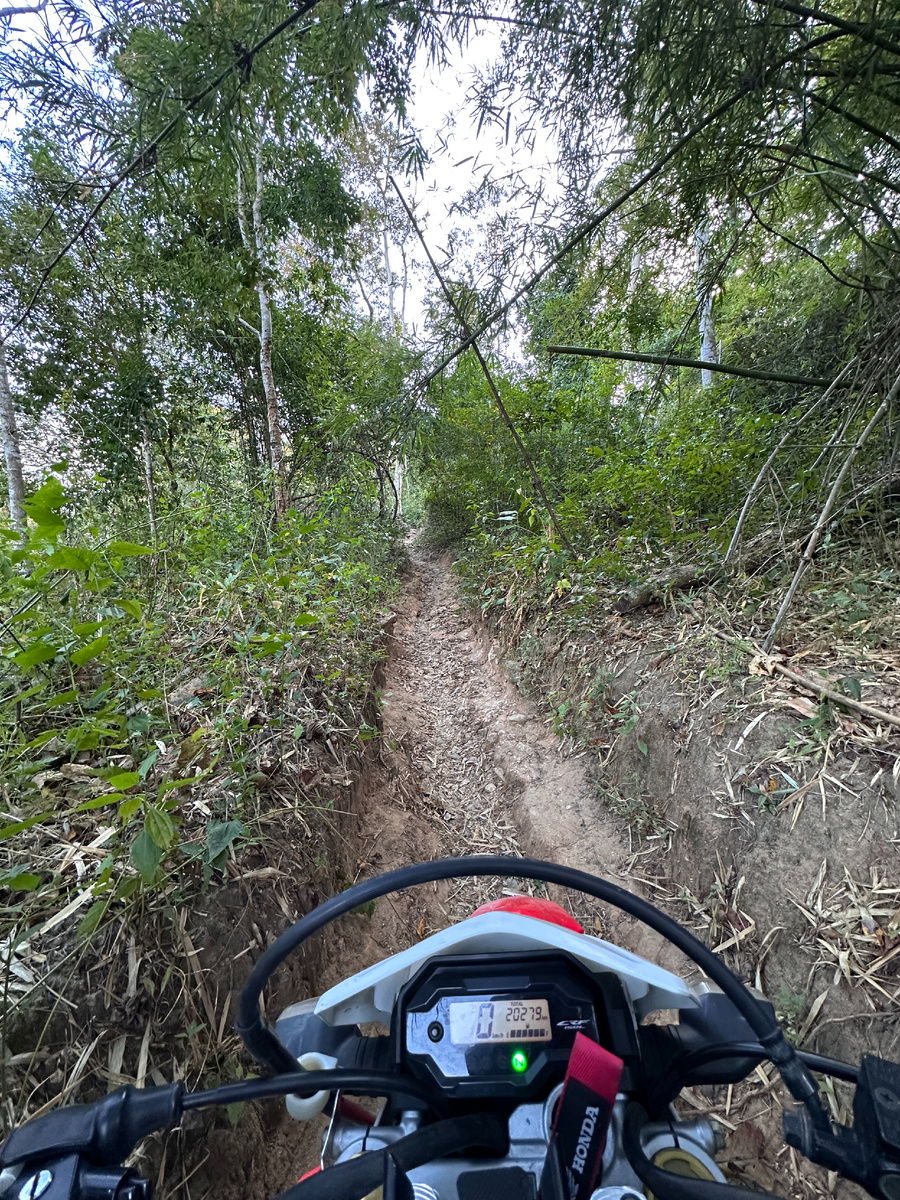 Постоянно то в верх, то вниз. джунгли, камни, обрывы, реки, песок.