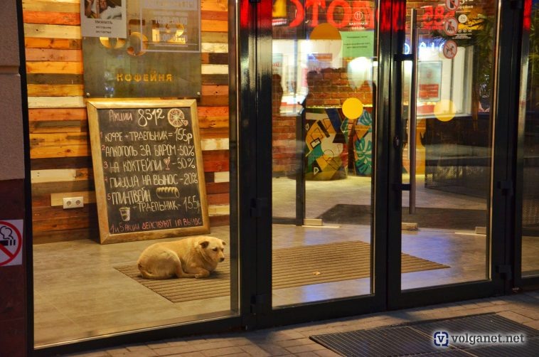 Фото: Volganet.net