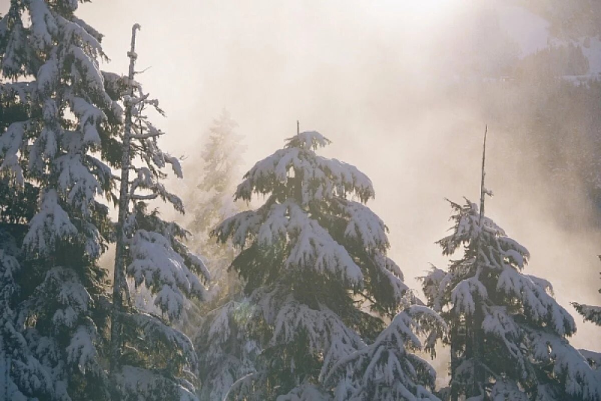    Температуры 19 февраля на Кубани будут на 10 градусов ниже, чем 18 февраля