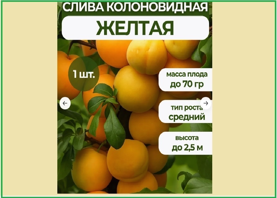 Фотография взята с сайта маркетплейса WB