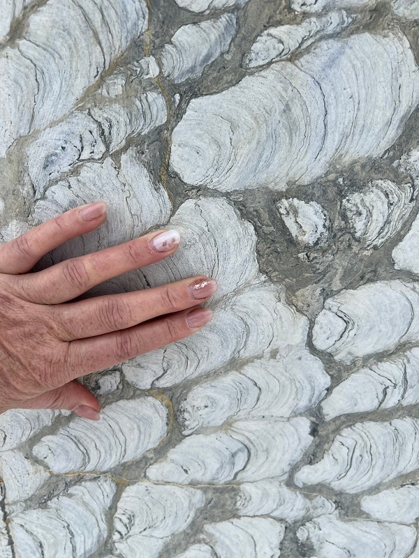 Строматолитовый карьер в Челябинской области. Фото: Александра Анкундинова / ВКонтакте