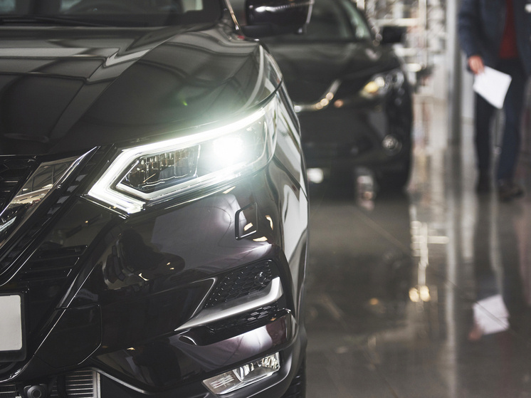     фото: ru.freepik.com