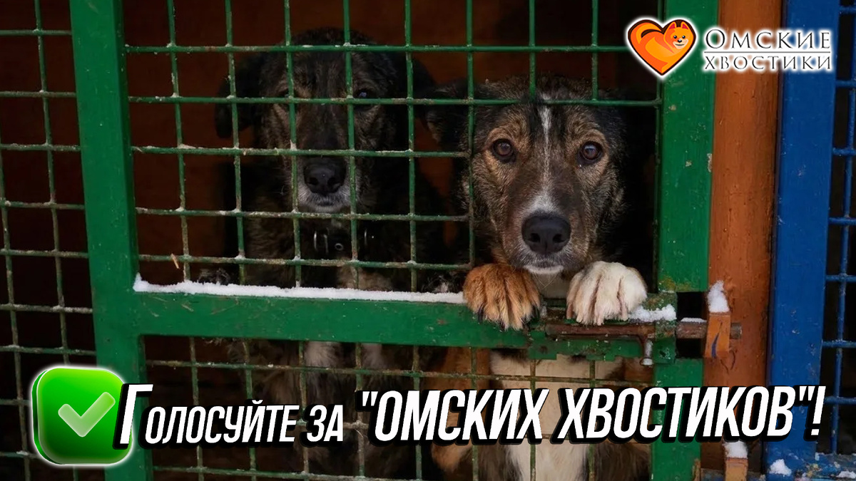 СПАСИБО! Вы — наша главная поддержка и опора!