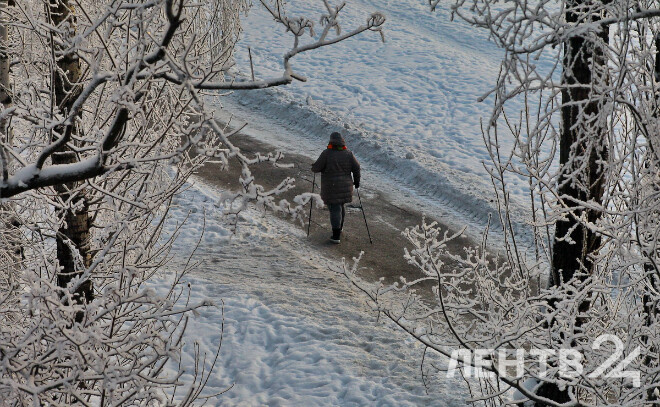    © Анастасия Илюшина / ЛенТВ24, архивное фото