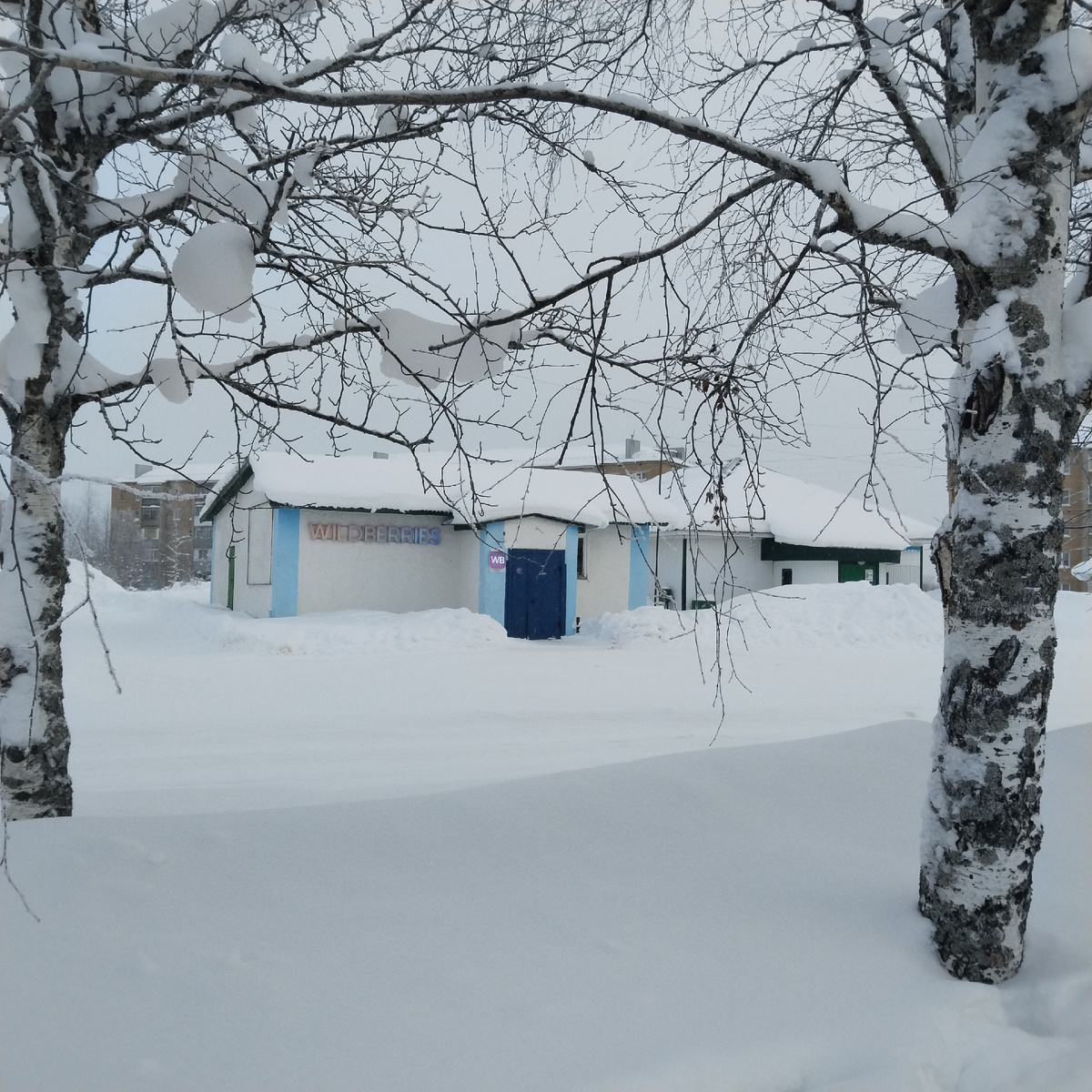 По пути в Пятерочку