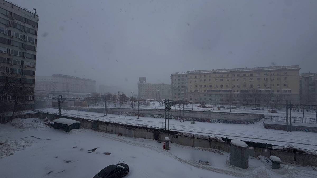    Фото: Вечерняя Москва