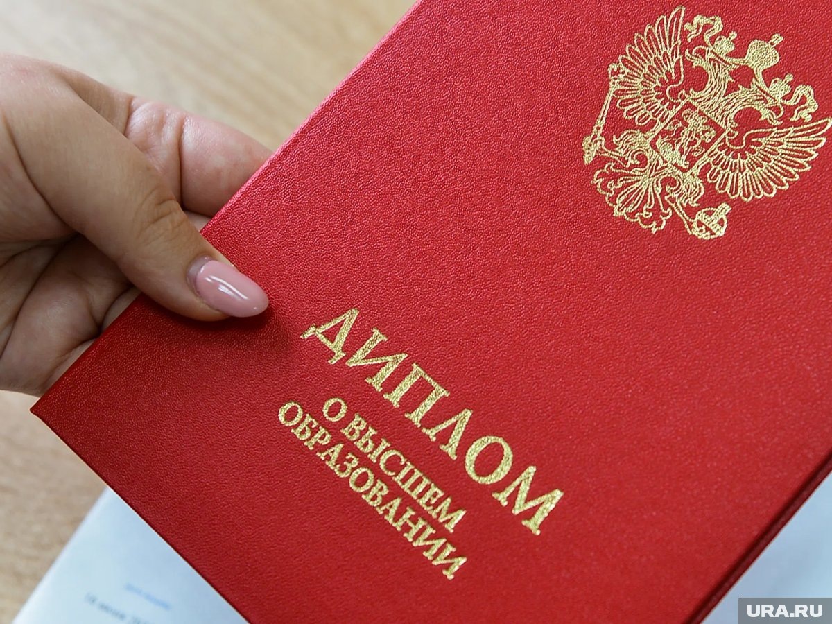     Денис Зенин устроился на работу в администрацию Тобольска по поддельному диплому