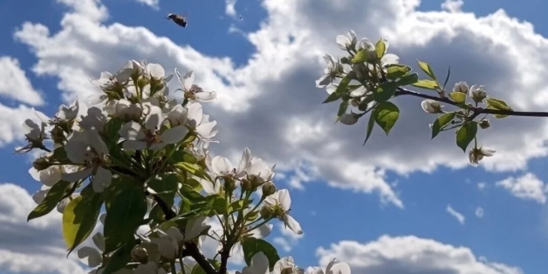 Сезон не за горами! Какой будет погода весной 2026 года на Среднем Урале?