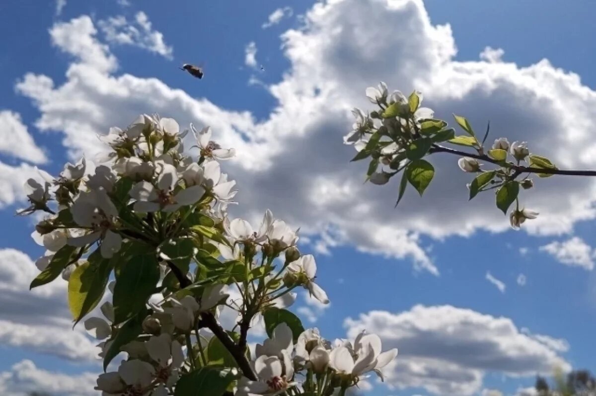    Сезон не за горами!