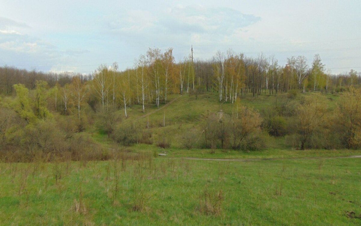    Воронежский Ботанический сад выиграл грант на сохранение экосистемы и создание экотропы фото: соцсети Ботанического сада