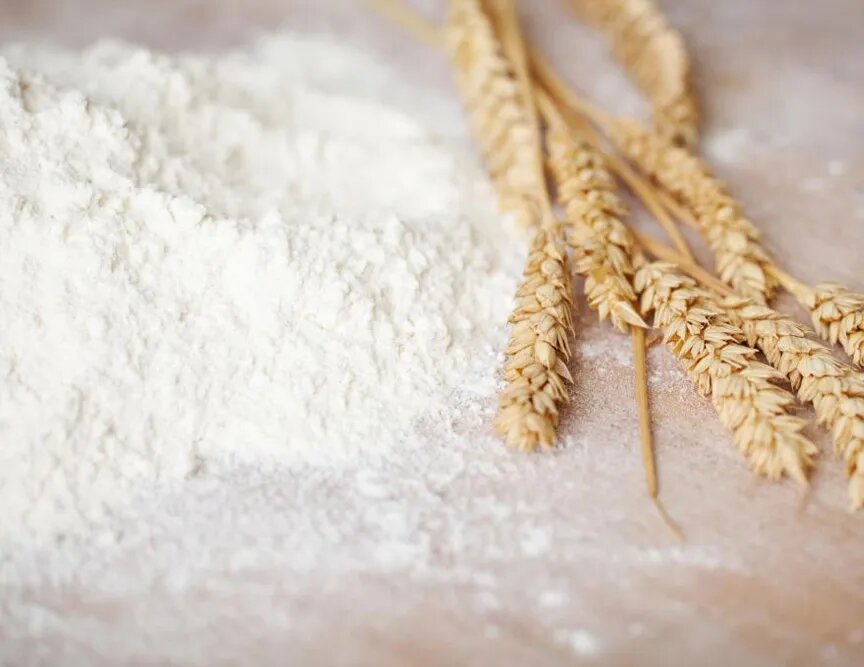 фото источник mukomoloff.ru