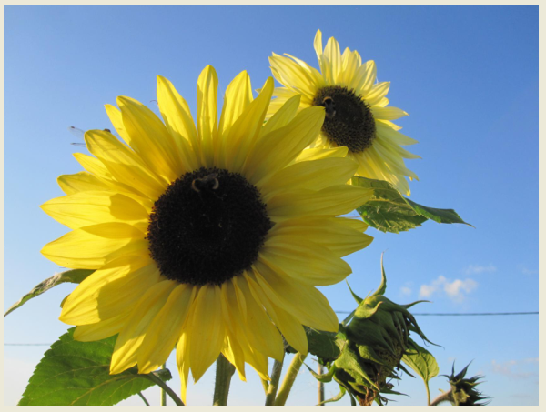 фото из личного архива автора.