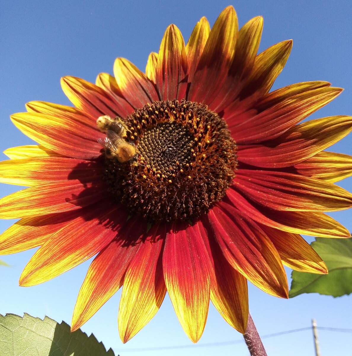 Фото из личного архива автора.