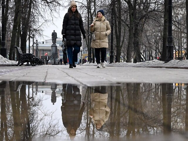    Фото: Москва 24/Антон Великжанин