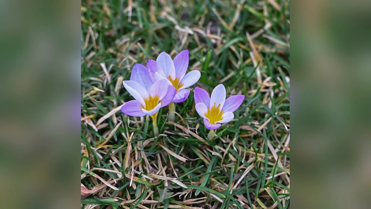    Фото t.me/parkkrd