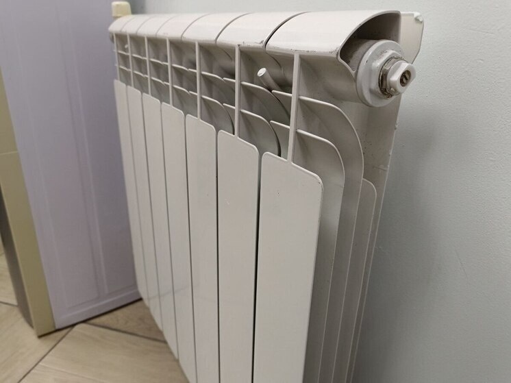     Фото иллюстративноеИсточник: МК на Алтае/Анастасия Полторацкая