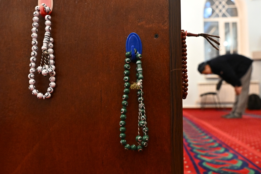    Фото: Максим Богодвид / РИА Новости