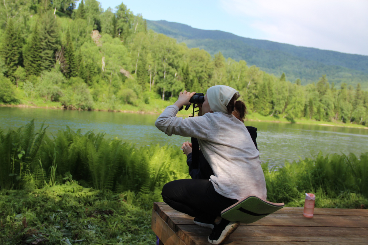 Наблюдение за птицами.