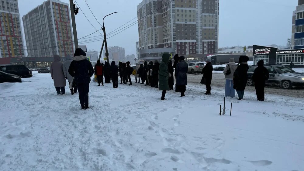    Фото: "Брянские новости"