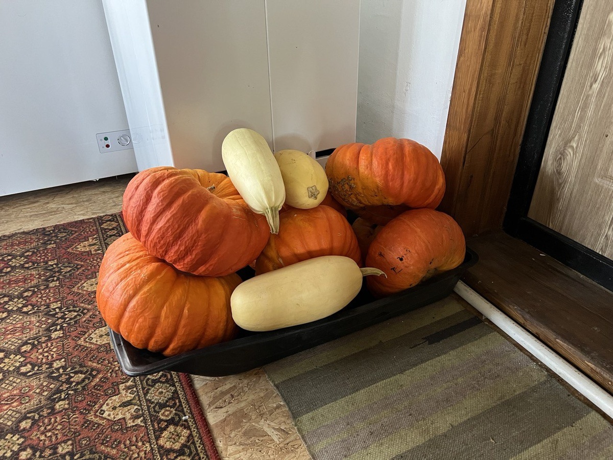 И да - кабачок тоже тыква)