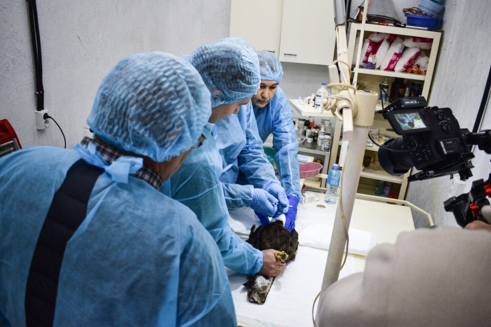 Кадры операции