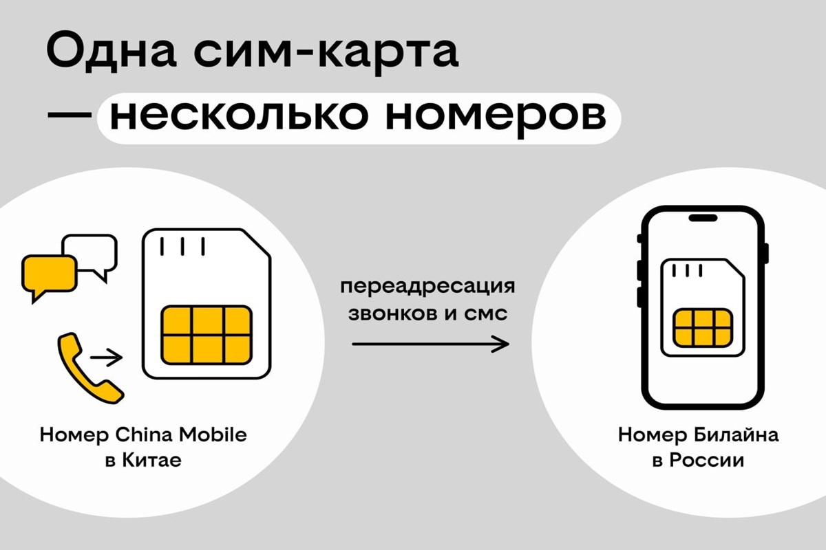    Фото: пресс-служба Билайна