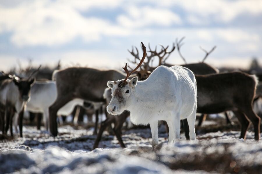     / Источник: © Павел Львов/РИА Новости