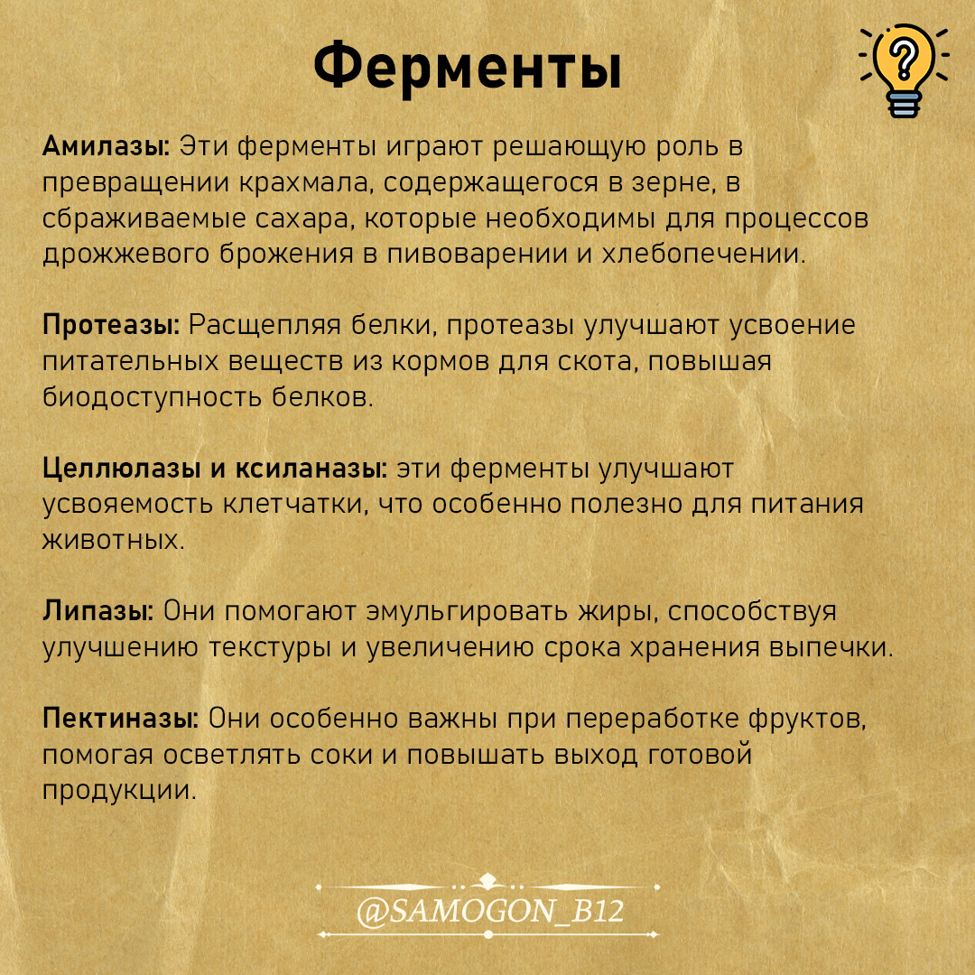 Какими бывают ферменты для зерна.