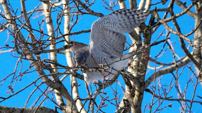 Фото: Станислав Крутоверцев