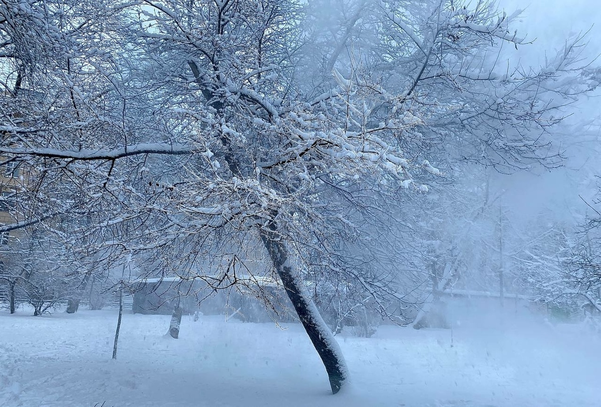 Фото: Neva.Today/Алена Васина